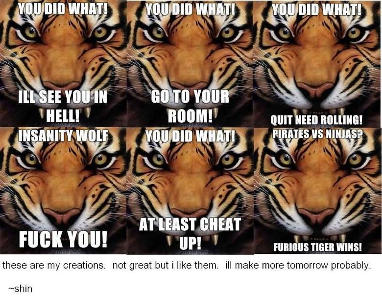 Funny Tiger Meme I Will See You In Hell