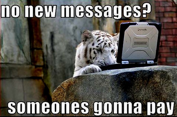 Funny Tiger Meme No New Massages Someones Gonna Pay Photo For Facebook