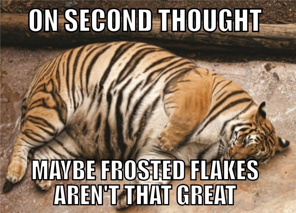 Funny Tiger Meme On Second Thought Picture