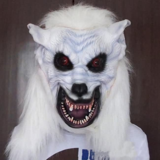 Funny Wolf Halloween Mask Face Image