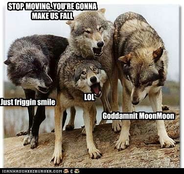 Funny Wolf Meme Stop Moving You Are Gonna Make Us Fail Picture For Facebook