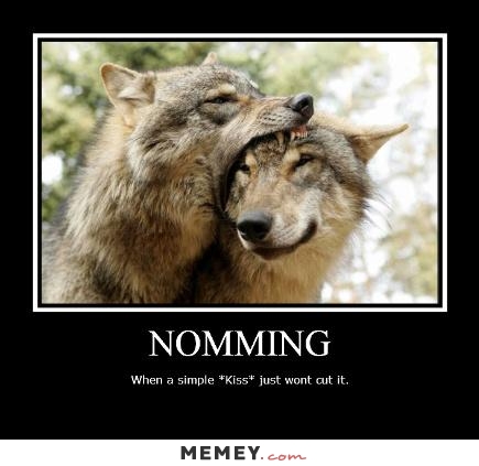 Funny Wolf Meme When A Simple Kiss Just Wont Cut It Picture