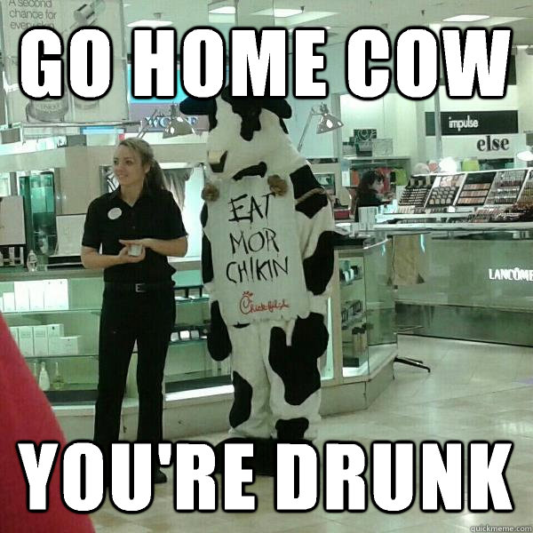 Go Home Cow You Are Drunk Funny Cow Meme Photo