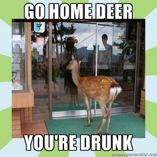 Go Home Deer You Are Drunk Funny Meme Image