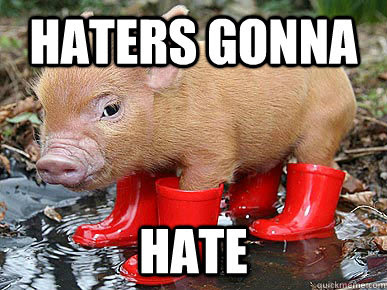 Haters Gonna Hate Funny Pig Meme Image