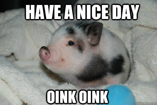 Have A Nice Day Oink Onik Funny Pig Meme Image