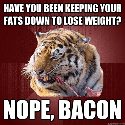 Have You Been Keeping Your Fast Down To Lose Weight Funny Tiger Meme Image