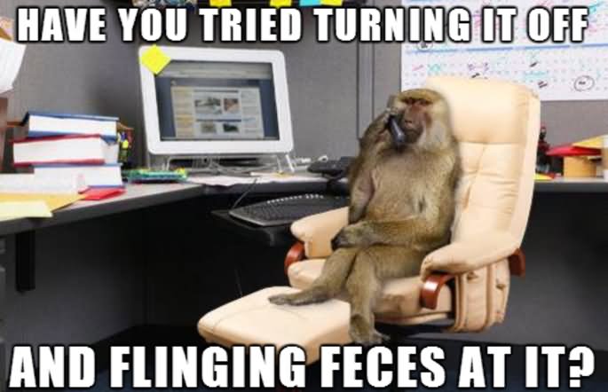 Have You Tried Turning It Off Funny Monkey Meme Image