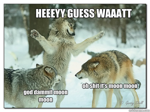 Heeeyy Guess Waaatt O Shit It's Moon Moon Funny Wolf Meme Picture