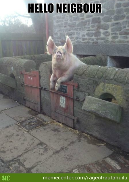Hello Neighbuor Funny Pig Meme Image