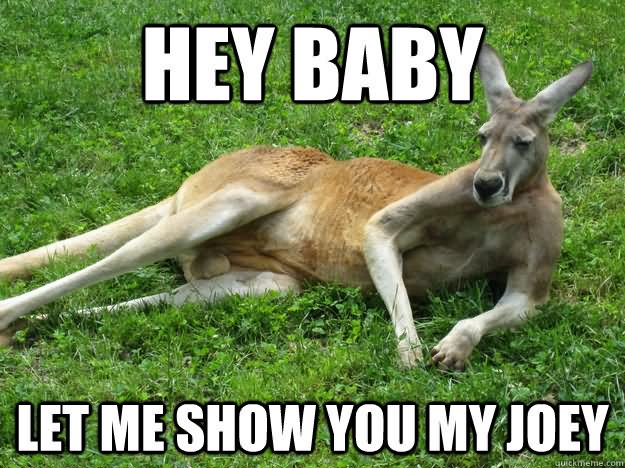 Hey Baby Let Me Show You My Joey Funny Kangaroo Meme Picture