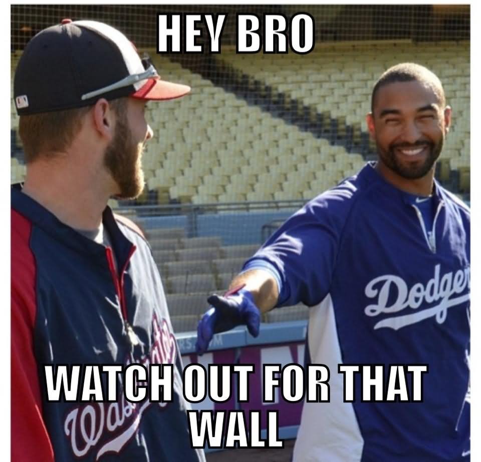 Hey Bro Watch Out For That Wall Funny Baseball Meme Photo