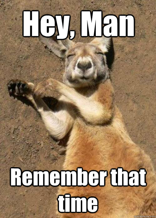 Hey Man Remember That Time Funny Kangaroo Meme Image