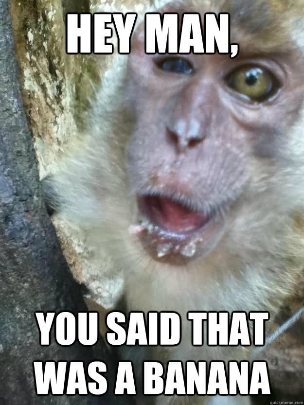 Hey Man You Said That Was A Banana Funny Monkey Meme Picture