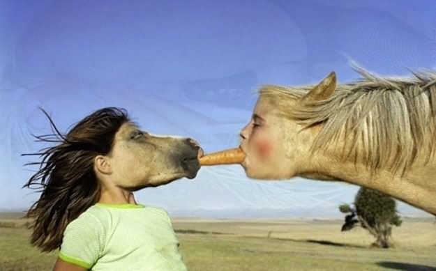 Horse Face Swap Girl Funny Picture