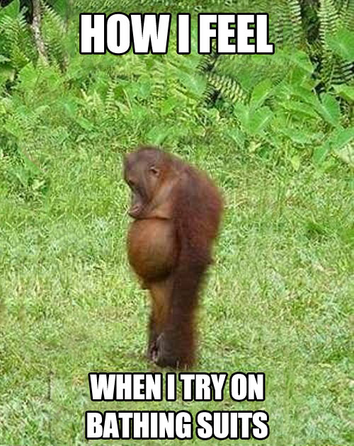 How I Feel When I Try On Bating Suits Funny Monkey Meme Picture