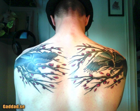 Hugin And Munin Tattoos On Back Shoulder