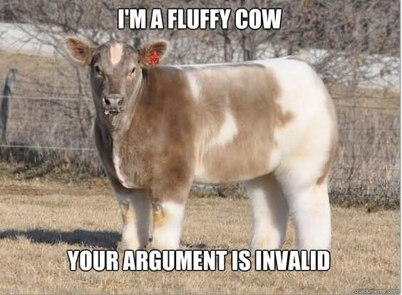 I Am A Fluffy Cow Your Argument Is Invalid Funny Cow Meme Image