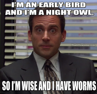 I Am An Early Bird And I Am A Night Owl  Funny Office Meme Image