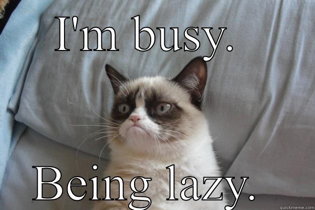 I Am Busy Being Lazy Funny Meme Picture