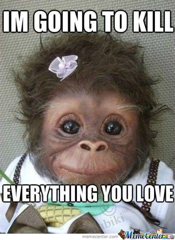 I Am Going To Kill Everything You Love Funny Monkey Meme Image