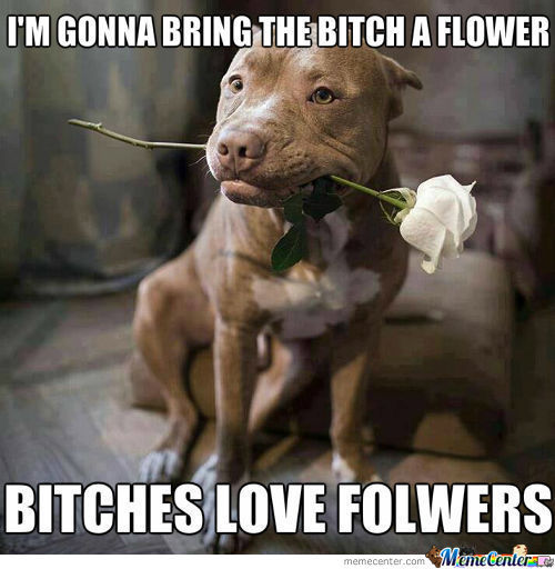 I Am Gonna Bring The Bitch A Flower Funny Meme Picture For Facebook