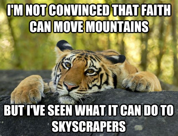 I Am Not Convinced That Faith Can Move Mountains Funny Tiger Meme Image