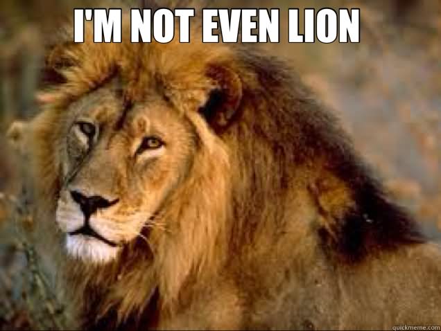 I Am Not Even Lion Funny Meme Picture