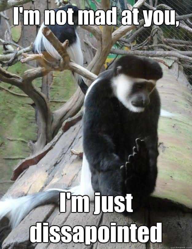 I Am Not Mad At I Am Just Disappointed Funny Monkey Meme Picture