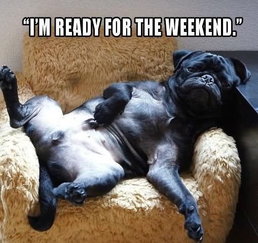 I Am Ready For The Weekend Funny Lazy Meme Image