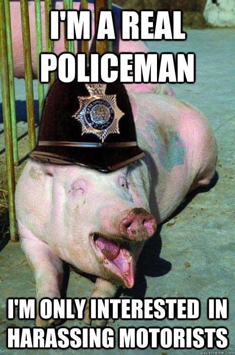 I Am Real Policeman Funny Pig Meme Image