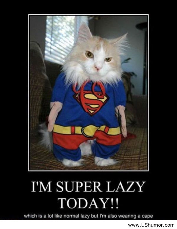I Am Super Lazy Today Funny Meme Poster