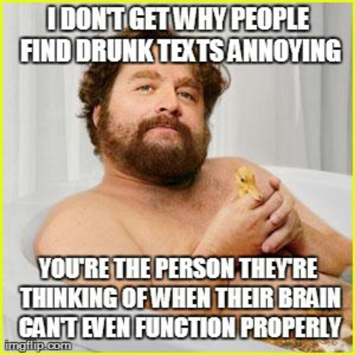 I Don't Get Why People Find Drunk Texts Annoying Funny Drunk Meme Picture