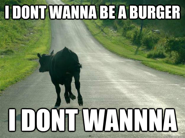 I Dont Wanna Be A Burger Funny Cow Meme Image For Facebook