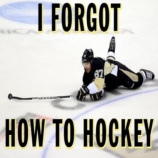 I Forgot How To Hockey Funny Meme Image