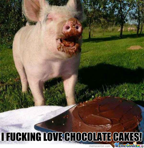 I Fucking Love Chocolate Cakes Funny Pig Meme Image