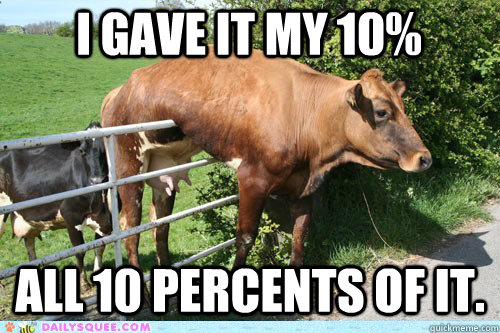 I Gave It My 10 Percent All 10 Percent OF It Funny Cow Meme Picture