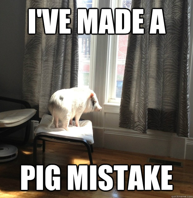 I Have Made A Pig Mistake Funny Meme Image