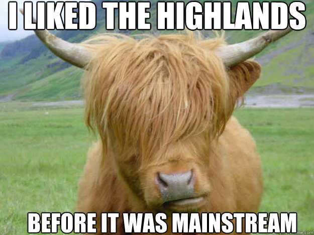 I Liked The Highlands Before It Was Mainstream Funny Cow Meme Image