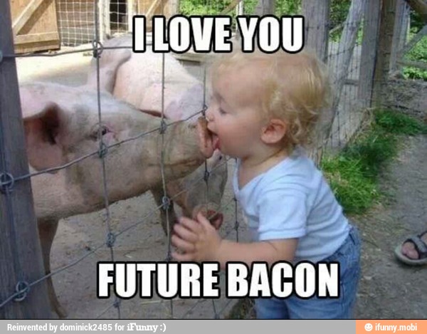 I Love Future Bacon Funny Pig Meme Picture