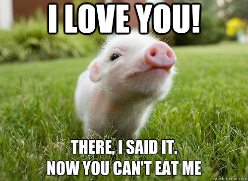 I Love You There I Said It Now You Can't Eat Me Funny Pig Meme Image