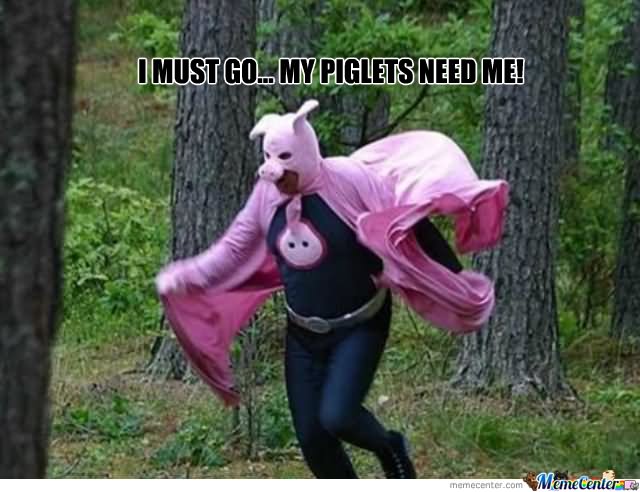 I Must Go My Piglets Need Me Funny Pig Meme Picture