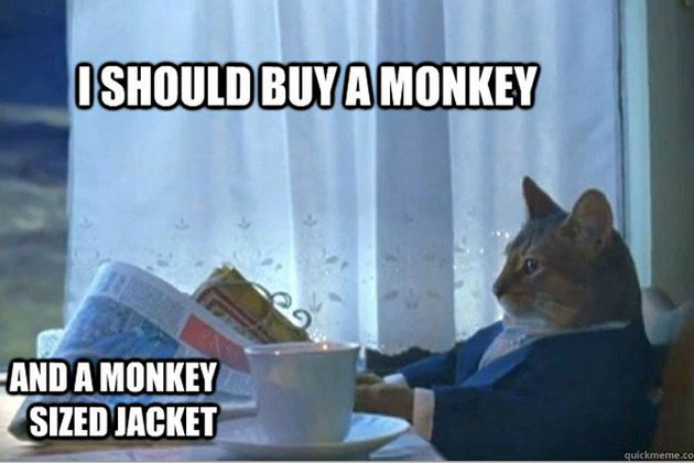 I Should Buy A Monkey Funny Meme Image