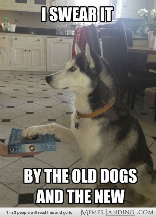 I Swear It By The Old Dogs And The New Funny Wolf Meme Picture