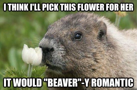 I Think I Will Pick This Flower For Her It Would Beaver-Y Romantic Funny Meme Image