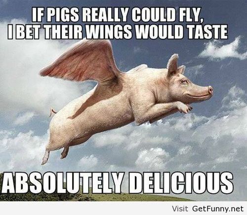 If Pigs Really Could Fly I Bet Their Wings Would Taste Funny Pig Meme Photo