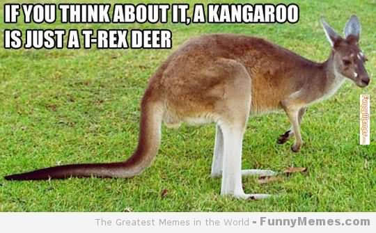 If You Think About It A Kangaroo Is Just A T-Rex Deer Funny Meme Picture