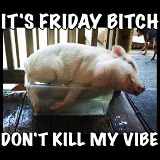 It's Friday Bitch Don't Kill My Vibe Funny Pig Meme Image