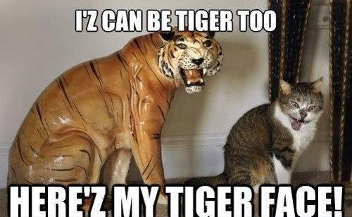 [Image: Iz-Can-Be-Tiger-Too-Very-Funny-Meme-Image.jpg]
