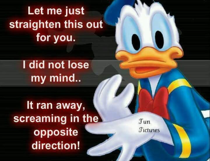 Let Me Just Straighten This Out For You I Did Not Lose My Mind Funny Duck Meme Picture